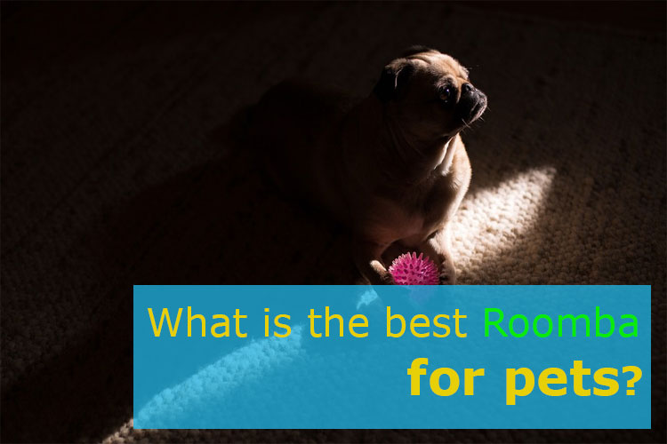 What Is The Best Roomba For Pet Hair Don T Buy Before You Read This   What Is The Best Roomba For Pet Hair 