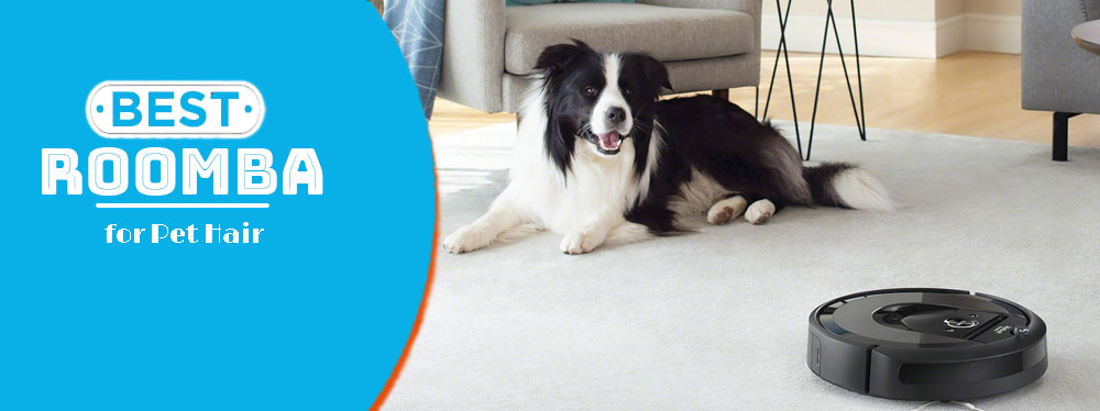 how to choose best roomba for pet hair how to choose best roomba for pet hair