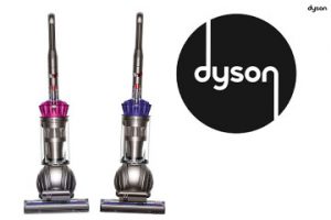 dyson animal 2 near me