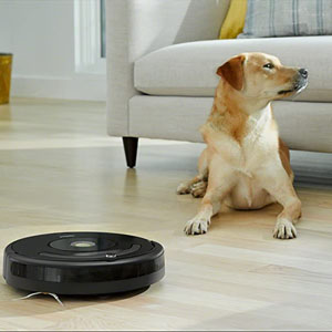 Cleaning Orientation roomba 675